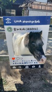 前の記事も見てね！