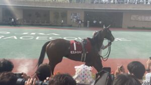 前の記事も見てね！