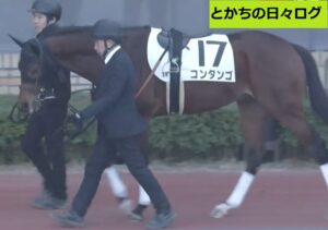 前の記事も見てね！
