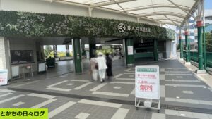 前の記事も見てね！