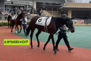 前の記事も見てね！