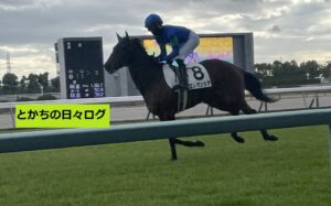 前の記事も見てね！