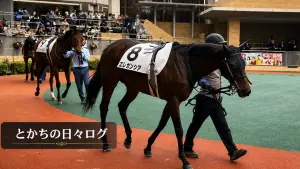 前の記事も見てね!