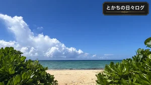 前の記事も見てね!